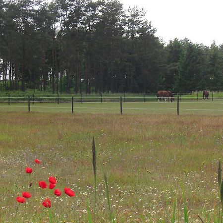 Ängshyddan B&B Yngsjo Bagian luar foto