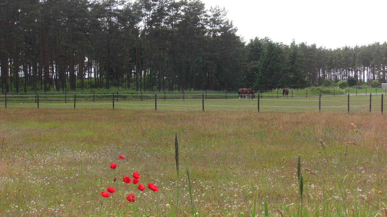 Ängshyddan B&B Yngsjo Bagian luar foto
